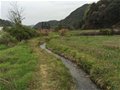 中國古窯萬里行（十一）景德鎮湘湖進坑古窯遺址址