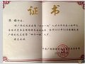 陳梅大師榮獲首批廣西文化名家暨“四個一批”人才