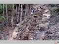 閩清義窯下窯崗窯址考古發現古代外銷瓷產地