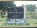 澄城堯頭窯陶瓷燒制技藝傳承人——李朱瞞