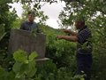 “中國(guó)古窯萬里行”——灌木叢中的古窯址