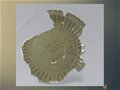龍泉大窯楓洞巖窯址出土瓷器驚艷亮相金華市博物館