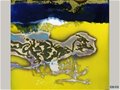 尹大中“高溫色釉”瓷畫藝術欣賞