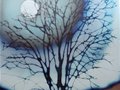 尹大中高溫窯變花釉藝術作品欣賞