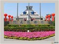 河南省博物院藏宋代汝瓷珍品