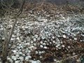 醴陵釉下五彩發展紀實——明、清窯址〈三〉