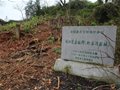 深藏江夏南閨中千年古村的古窯——湖泗新窯灣窯址