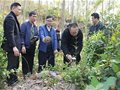 潘魯生主席考察惠東白馬窯址