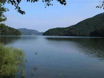 上林湖后司岙窯址考古記
