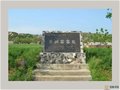 壽州窯瓷器的特征及演變