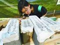 南京棲霞官窯村考古新發現110座明代磚窯