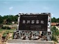 “南青北白”時代壽州窯的獨特之美