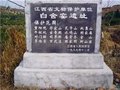 宋元白舍窯略談