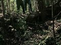 [圖文]景德鎮(zhèn)陶瓷制作技藝七十二道工序