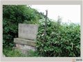 浙江古代名窯——楓樹灣青瓷窯址