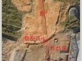 永嘉坦頭唐代甌窯窯場的布局結構