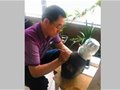 將耀瓷融入生命的人——中國工藝美術大師孟樹鋒