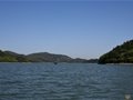 青瓷、青色與越地文化