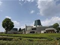 東方之青的歷史與傳承