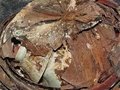 葉英挺：從秘色瓷到龍泉官窯