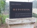 汝窯的特征與款識