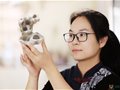 河南省陶瓷藝術大師劉靜作品欣賞