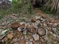 福建古代名窯：東張宋窯遺址