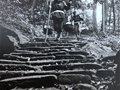 饒曉晴口述史——成長環境