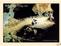 2000年十大考古發現