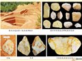2014年十大考古發(fā)現(xiàn)