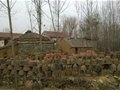 無聲的藝術(shù)“柘溝土陶”