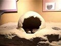 青海最早的陶窯——安達其哈遺址