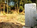 福建古代名窯：大口窯址