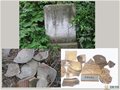 浙江古代名窯：溪口涌泉窯址群