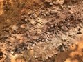 福建古代名窯：東張窯