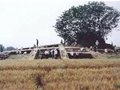 湖北潛江龍灣宮殿遺址