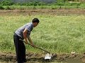 國寶“陶鷹鼎”的故事