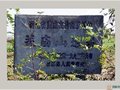 關廟山遺址