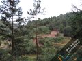 德化窯址（內坂窯）