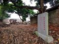 喃厝200年坑仔口制陶龍窯被列入“大世界基尼斯之最”