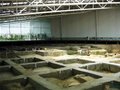 金沙遺址