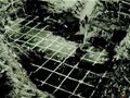 百年百大考古發(fā)現(xiàn)——舊石器時(shí)代遺址