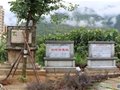 石嶺崗遺址