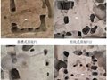 山東滕州崗上遺址