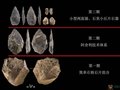 四川稻城皮洛遺址