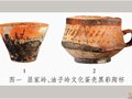 屈家嶺遺址史前黑釉蛋殼陶研究