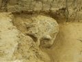 2022年度全國十大考古新發(fā)現(xiàn)——湖北十堰學堂梁子遺址