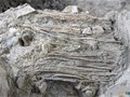 2022年度全國十大考古新發(fā)現(xiàn)——河南開封州橋及附近汴河遺址