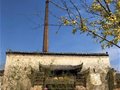 傳承百年“瓷心”喚醒魅力老字號——景德鎮邑山窯