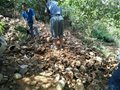 上饒廣信區(qū)徐塢古窯遺址考古取得初步成果